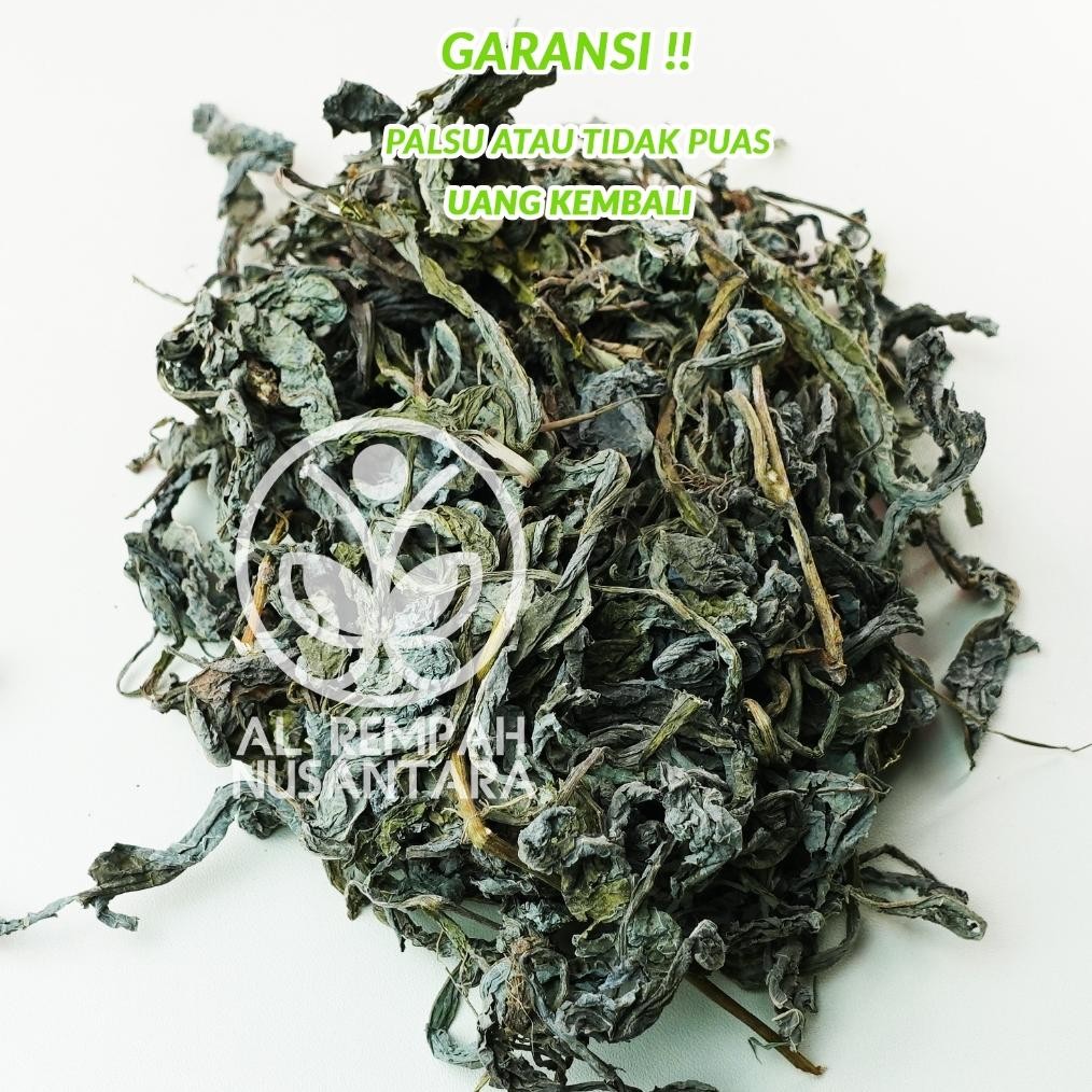 

Daun Tempuyung Kering 500gr - Asli dan Organik