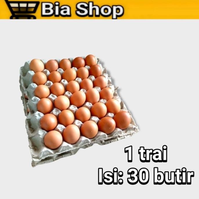 

(Expert) Telor Ayam 1 Tray isi 30 Butir