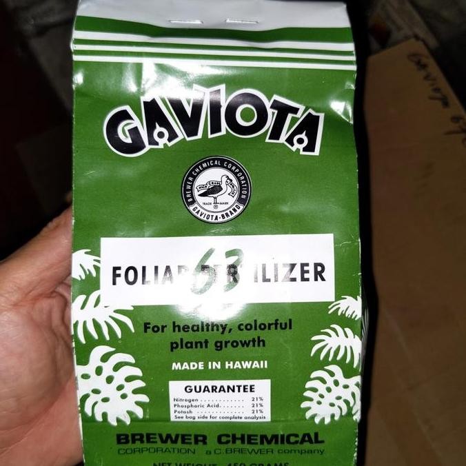 

fresh Gaviota 63 450gr