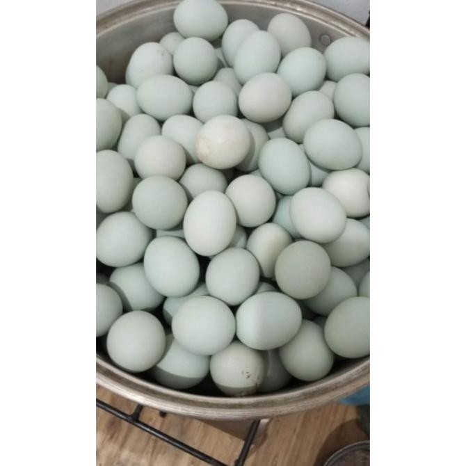

(Expert) Telur asin Brebes isi 10 sudah matang enak dan Bergizi