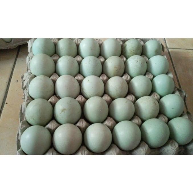 

(Expert) TELUR BEBEK MURAH BUTIR TOKO SEMBAKO CIKARANG