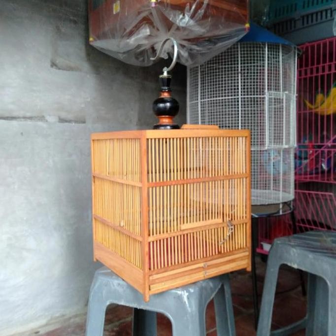 sangkar burung penjinakan wambie.