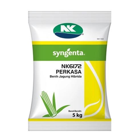 Benih Jagung NK 6172 PERKASA (5KG) - ORI Syngenta