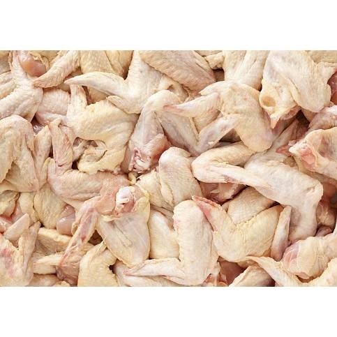 

Original Chicken Wings Organik 500Gr - Sayap Ayam Frozen Berkah Chicken