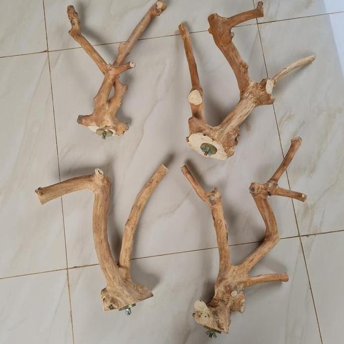Tangkringan kayu kopi