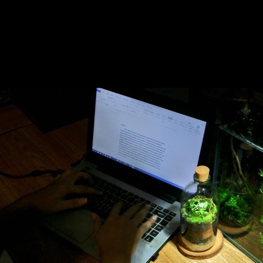 Viral Terarium Botol Kit | Terrarium Kit Bottle 100 - 500 Ml | Hiasan Kamar Aesthetic Dgf-4