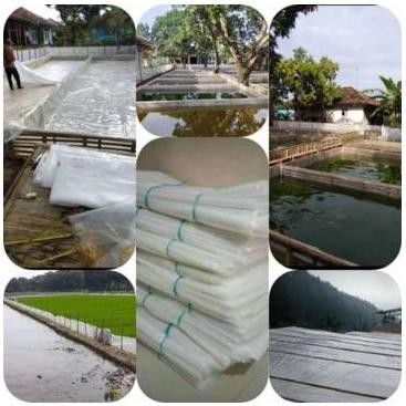 [Expert] Plastik UV Lebar 6 Meter 14% Tebal 200 Micron (Greenhouse) plastik atap