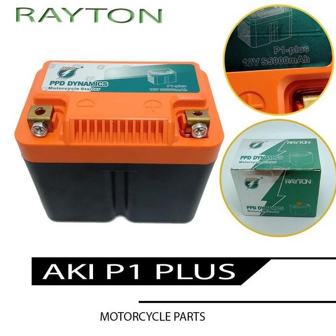 Berkualitas RAYTON Aki Baterai Lithium Iron Phospate LIFEPO4 Recharge Premium Aki MURAH