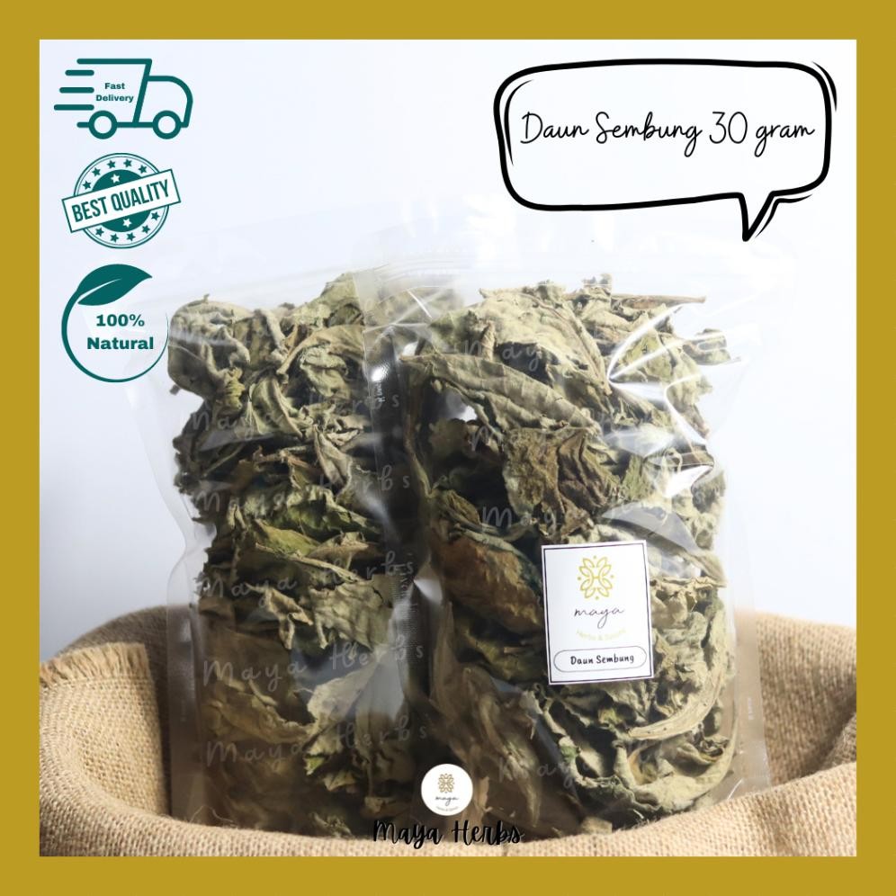 

Daun Sembung Kering 30 Gram ( Blumea Balsamifera ) RB10