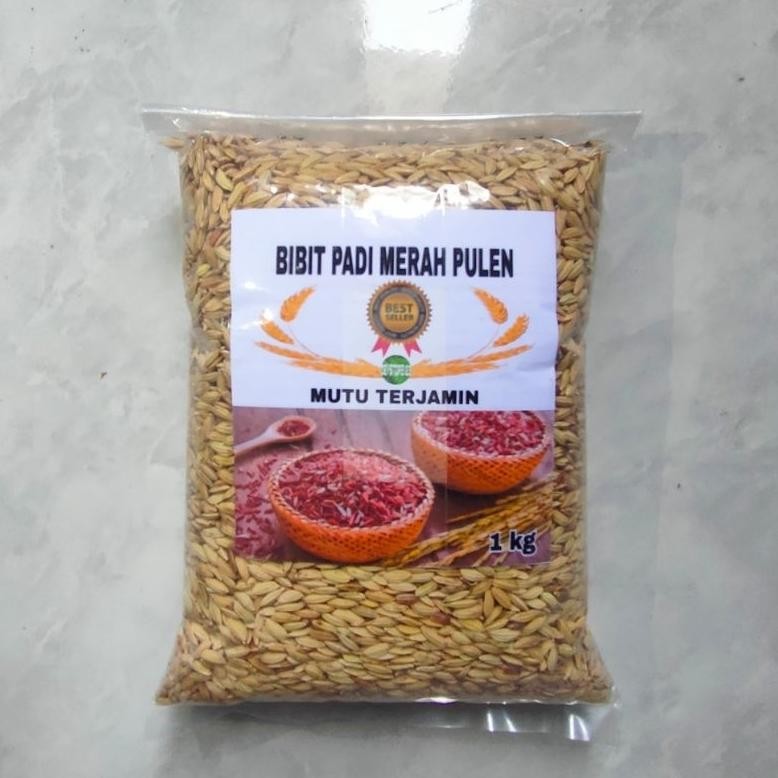 

Jual Benih Padi Beras Merah Unggul 1 Kg RB10