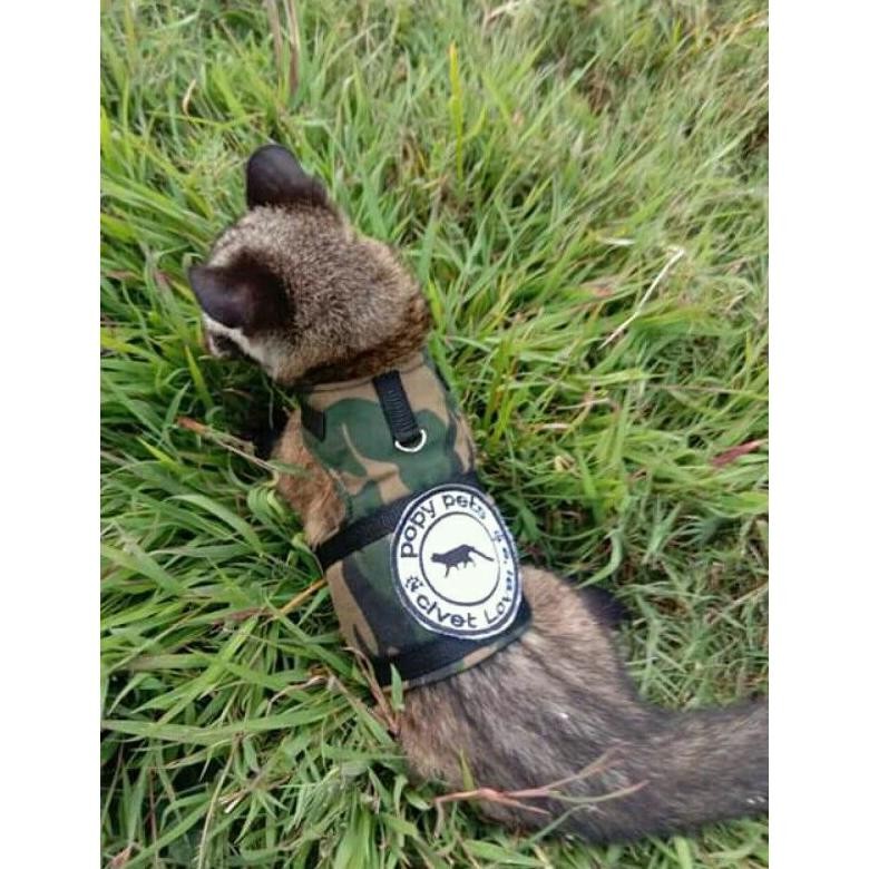 Harnes Rompi Tali Kalung Untuk Musang Kucing Otter AST