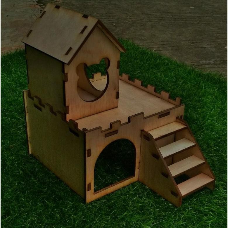 hamster syrian rumah hamster syrian AST