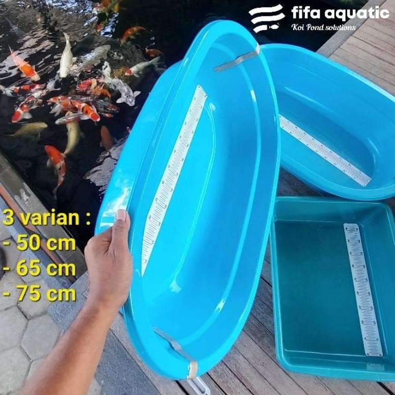 Cod Bak Ukur Ikan Koi 65 Cm Plastik Berkualitas Awet Tahan Lama Dgh-43