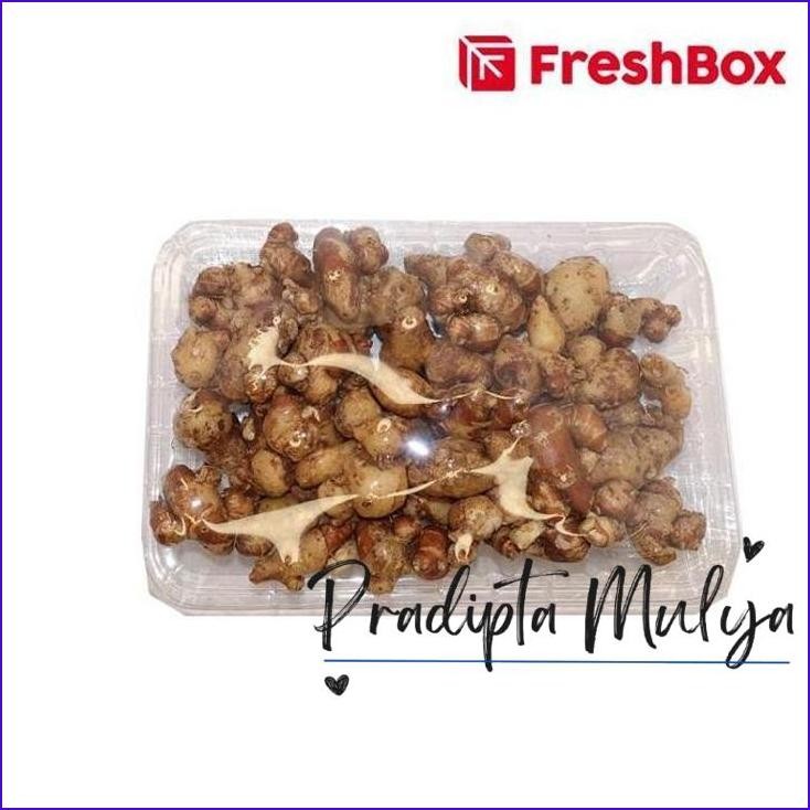 

Yok Di Co.! Kencur Rempah 150 Gr Freshbox