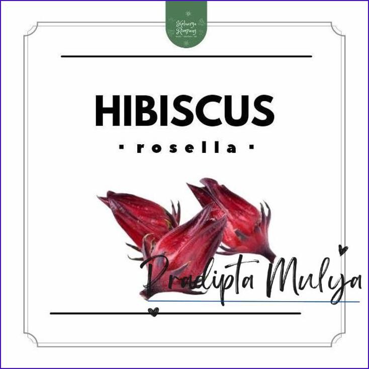 

New..!! Hibiscus Dried Rosella Kering By Keluarga Rimpang
