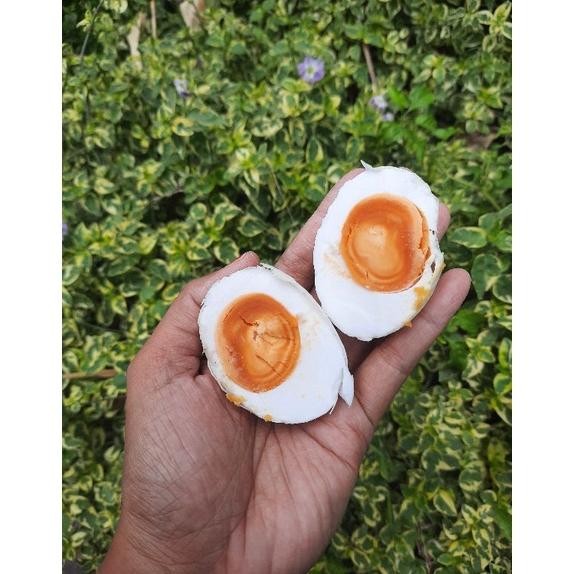 

TELUR ASIN MASIR BESAR KECIL ISI 10