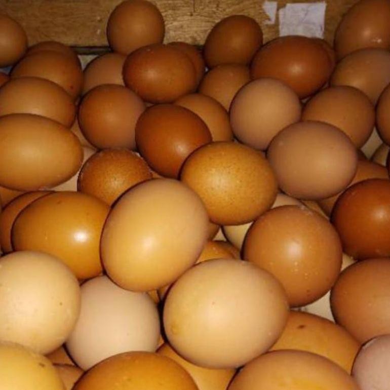 

TELUR AYAM NEGRI 500GR