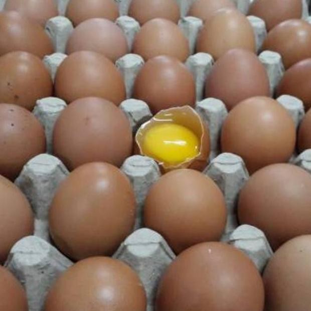 

TELUR AYAM NEGRI FRESH PER-KG