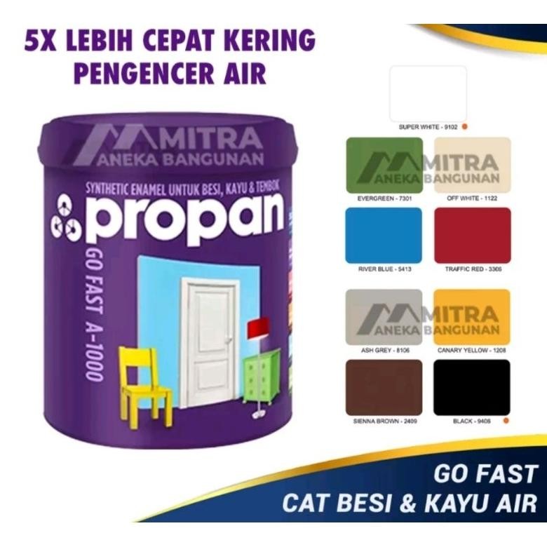 Cat Propan Go Fast A -1000  Cat Besi Kayu Tembok  1Kg  Waterbased Cat Campuran Air  Warna Putih Hita