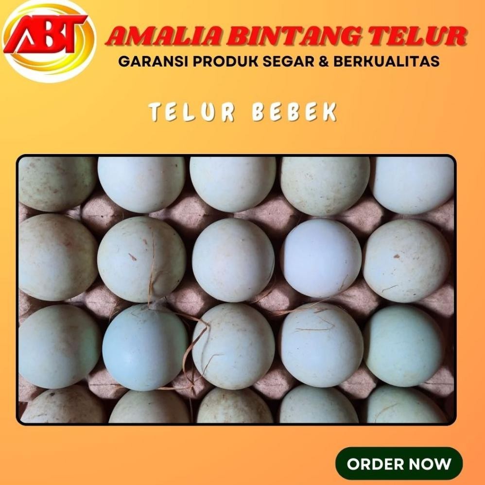 

ABT - TELUR BEBEK TAWAR MENTAH GRADE AB UKURAN BESAR