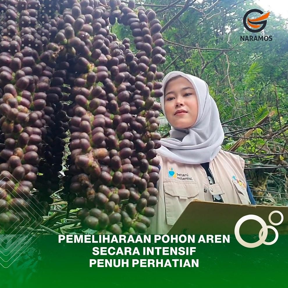 

Gula Semut Aren 1kg SV13