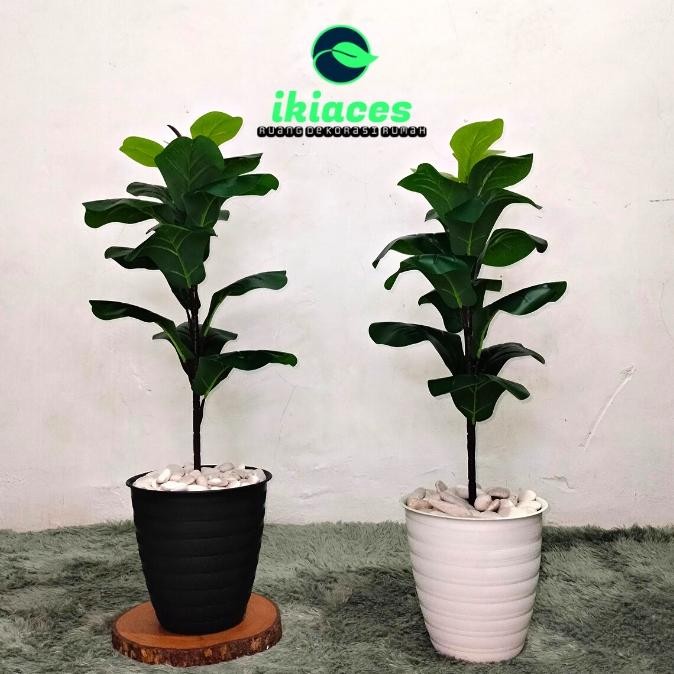 Pohon Hias Plastik Pohon Ketapang Artifisial Bunga Hias Daun Dekorasi Daun Jumbo Plastik