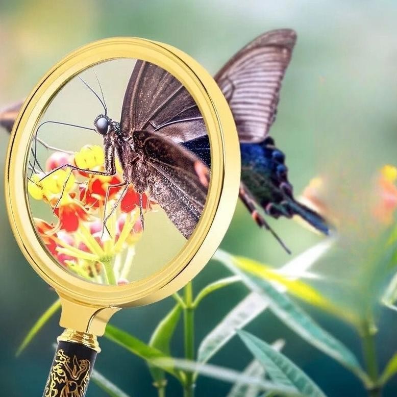 

JH8 12X pola naga emas Kaca Pembesar Lup Kaca Magnifier Glass 80mm Magnifying Glass