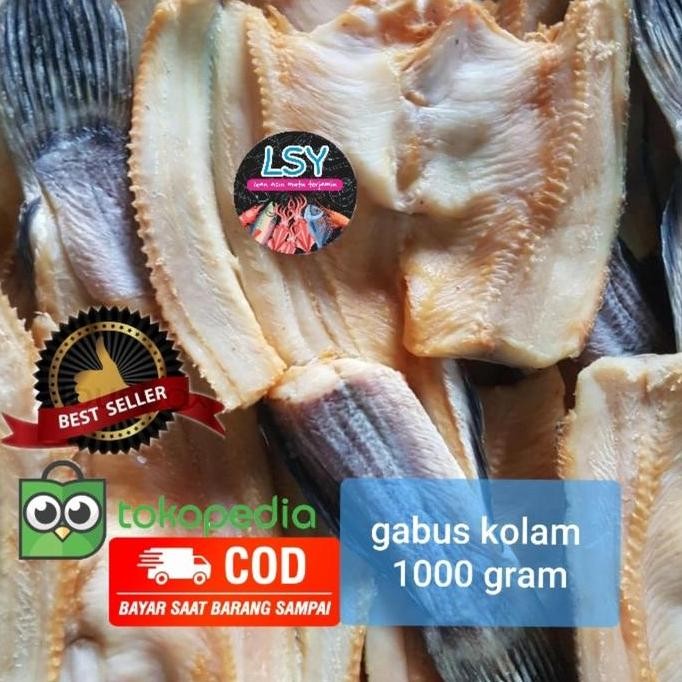 

Ikan Asin Gabus Kolam 1 Kg