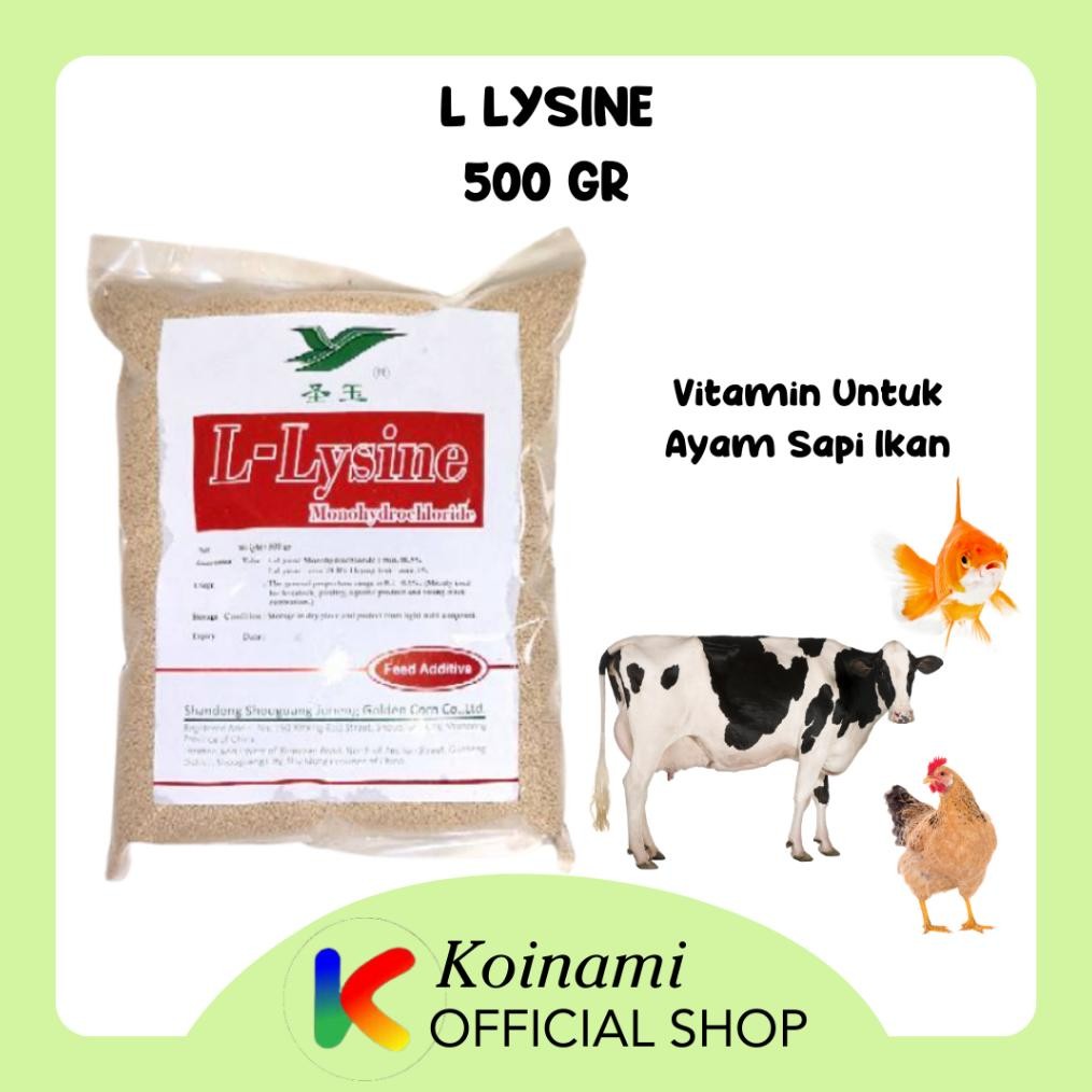 L lysine untuk ayam sapi ikan 500 gram AST