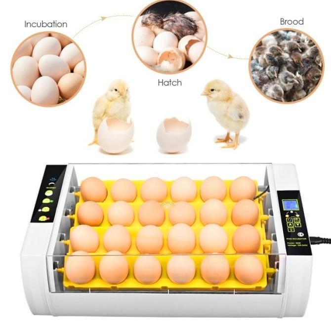 Inkubator Mesin Penetas Telur Reptil Kura Kura Burung Ayam Punyuh Original Dan Terlaris