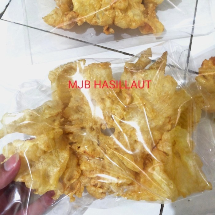 

gelembung ikan, perut ikan, lambung ikan hipio, yipiao, hupio, 100gram