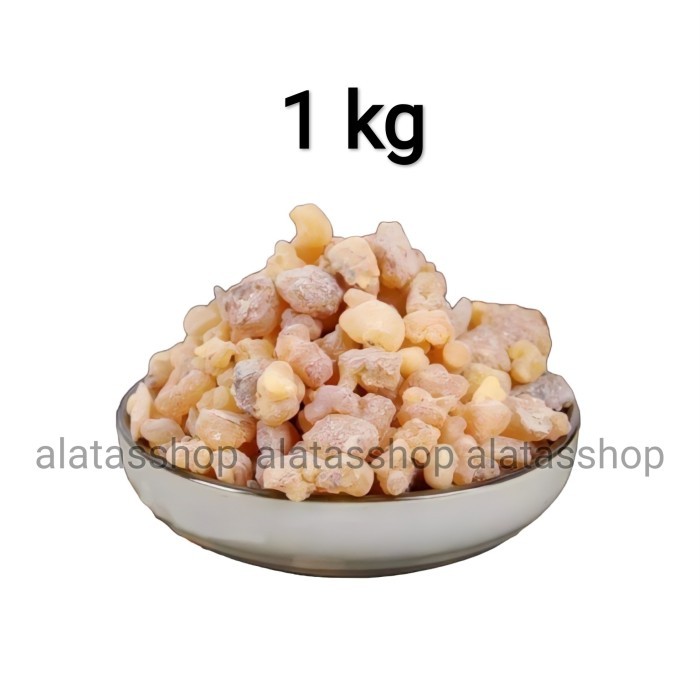 Luban Mustaqi Arab 1Kg Original Kemenyan Arab Asli Frankincense