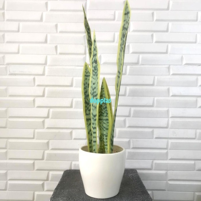 POHON DAUN LIDAH MERTUA LATEX VAS KERAMIK TANAMAN ARTIFISIAL PAJANGAN