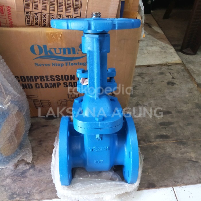 Tozen - Gate Valve PN16 3 inch Gate valve Cast iron Rising Steam