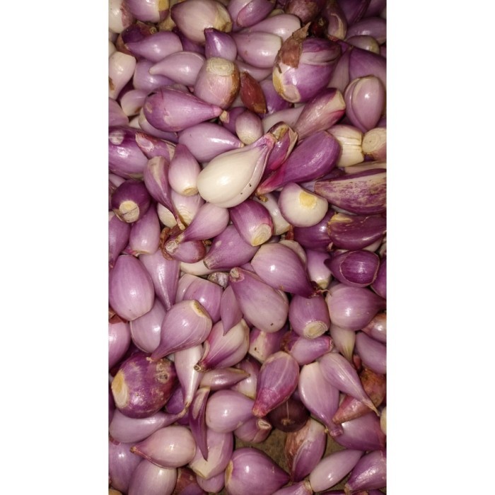 

TERLARIS BAWANG MERAH BREBES KUPAS MURAH!!! MURAH
