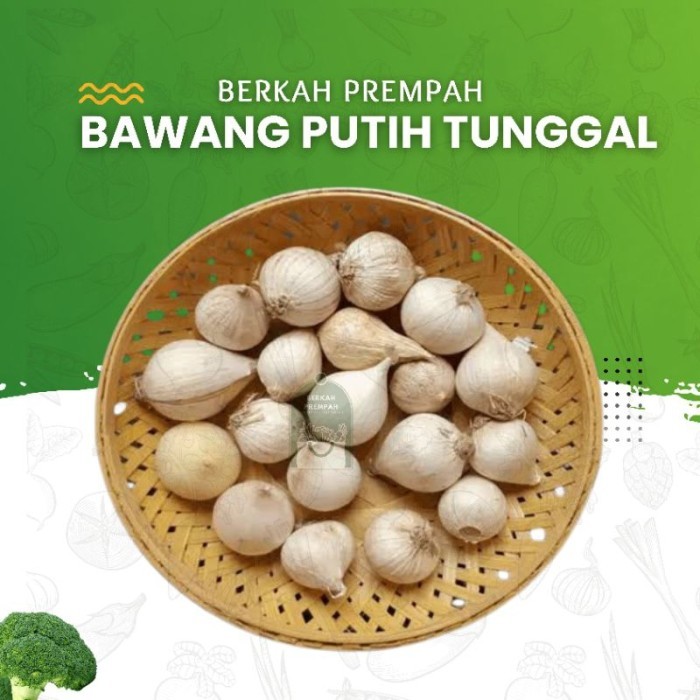 

TERLARIS BAWANG PUTIH TUNGGAL IMPORT PREMIUM QUALITY (500-1000GR) MURAH!!! MURAH