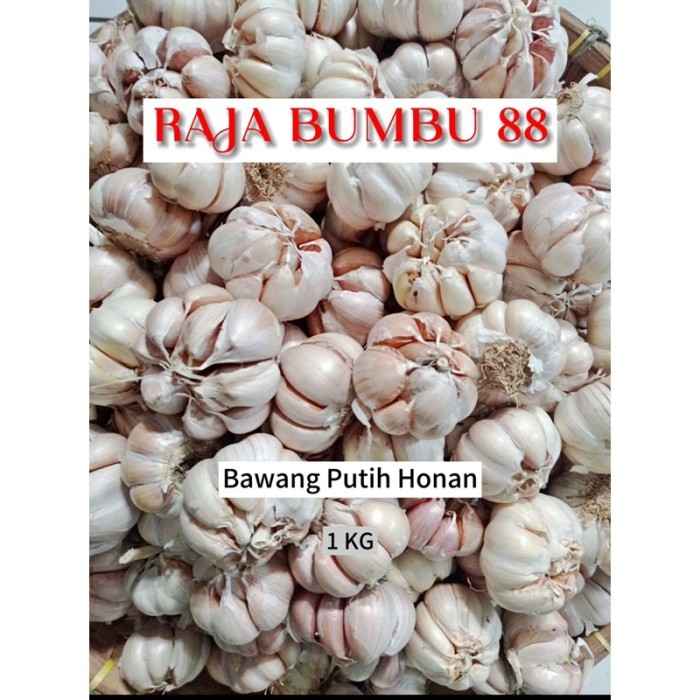 

TERLARIS BAWANG PUTIH HONAN 1 KG , RB88 MURAH!!! MURAH