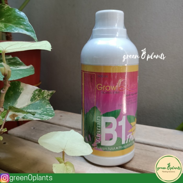 ASLI VITAMIN B1 TANAMAN GROW QUICK PLUS 500ML KODE 467