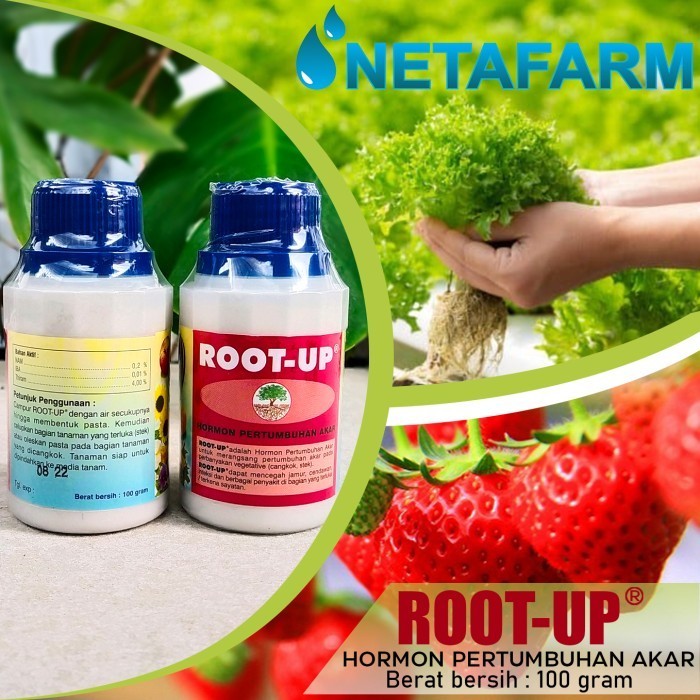 ASLI ROOT UP 100GR PUPUK HORMON PERTUMBUHAN AKAR KODE 1292