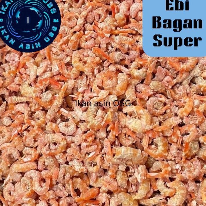 

Ebi Bagan