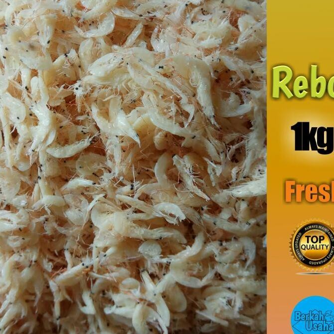 

Ian Ain Rebon 1Gian Rebonudang Rebonian Ain Ian Ain Udang Rebon