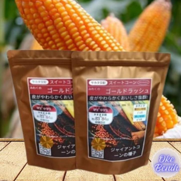 Paet 2 G Benih Jagung Jepang Raaa