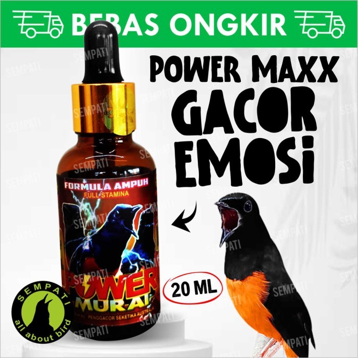 Power murai bmw vitamin obat gacor penggacor burung murai batu