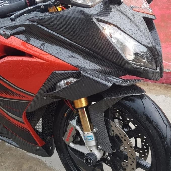 Promo WINGSIDE NINJA 250 FI Include SIGNAL TURN Model BMW Motorrad COD