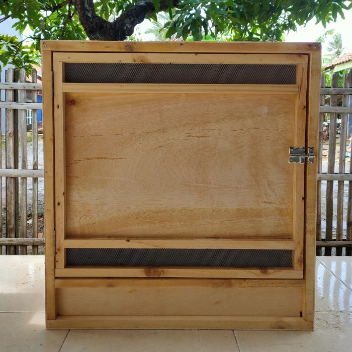 kandang box ayam Bangkok siap adu