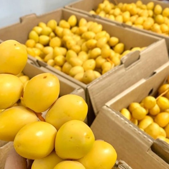 

kurma barhi namibia 1 kg
