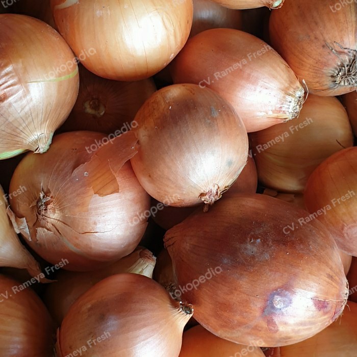 

Terbaru Bawang Bombay 1Kg 1 Kg Best Seller