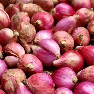 

Ready Bawang Merah - Berat 250Gram Best Seller