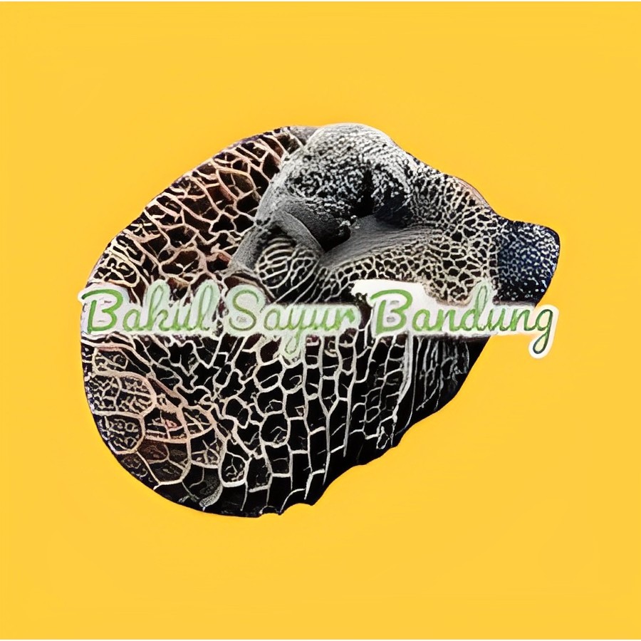 Babat Sapi 500gr Bakul Sayur Murah Bandung