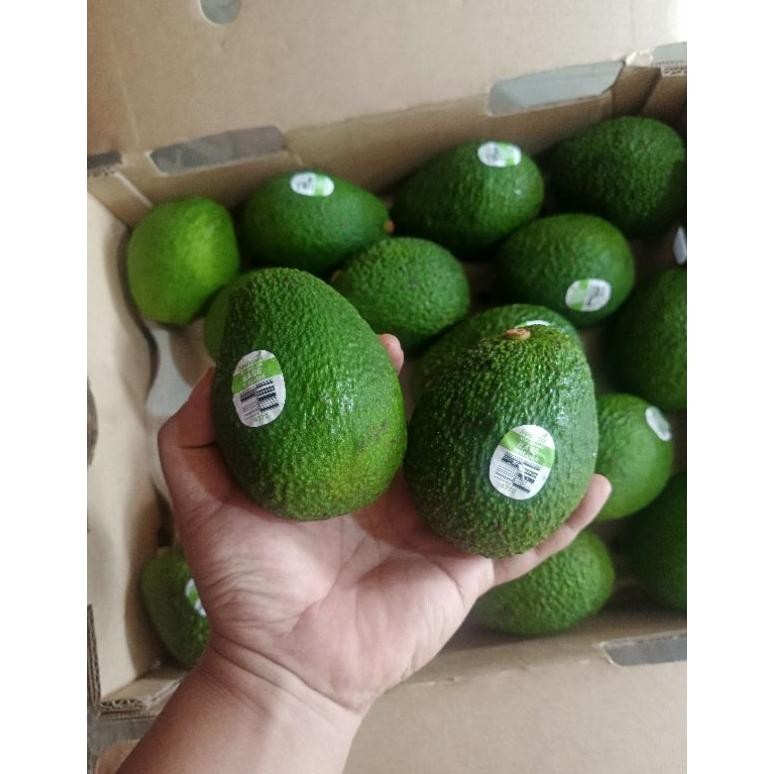 

Avocado Hass Premium 1kg | Alpukat Haas premium super alpukat mentega